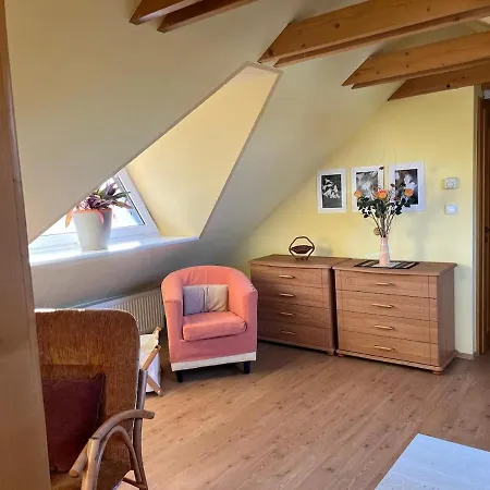 Down Town With Garden Piest'any