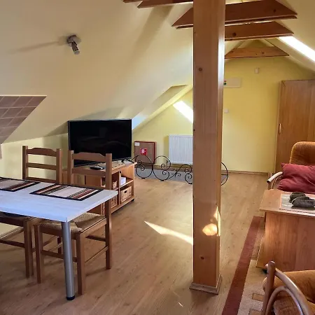 Apartment Down Town With Garden *