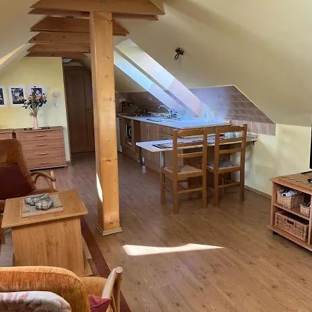 Apartment Down Town With Garden *