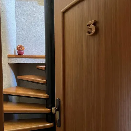 Down Town With Garden Apartment