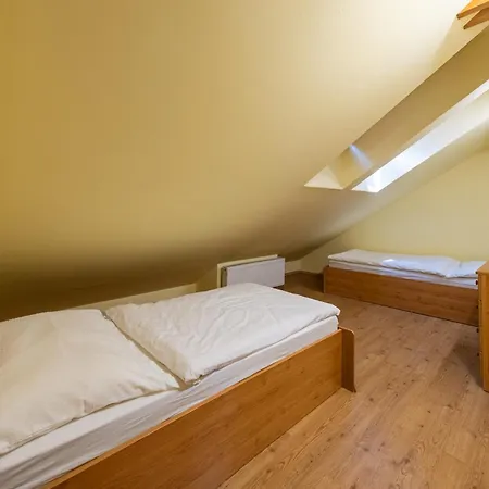 Apartment Down Town With Garden